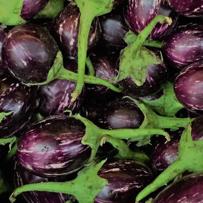 Brinjal