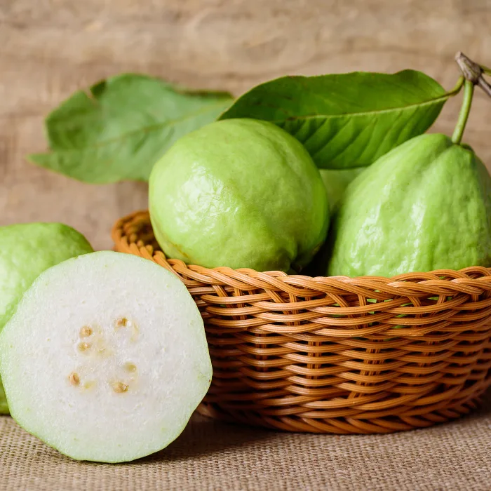 Guava