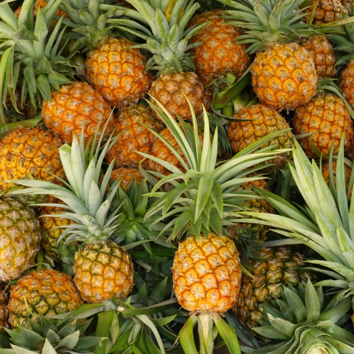 Pineapple